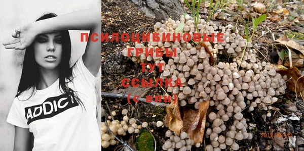 бошки Алексин