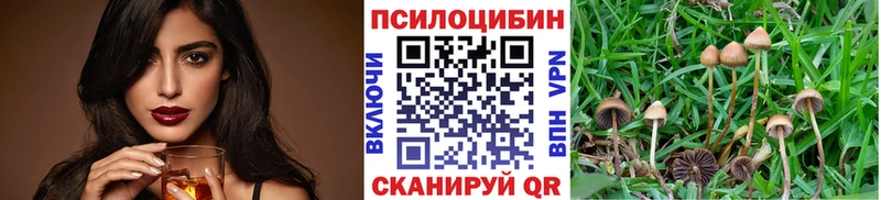 Галлюциногенные грибы мухоморы  Коряжма 