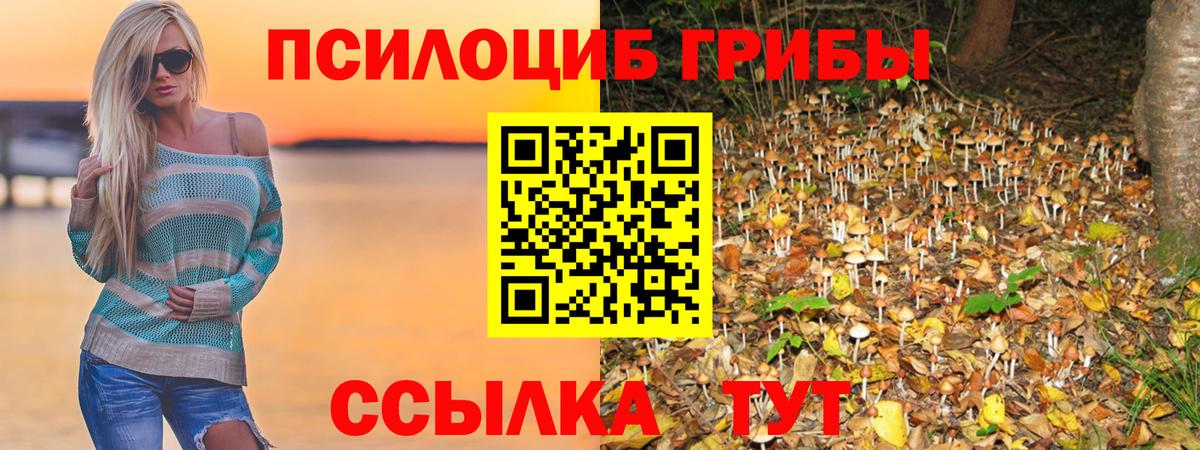 Коряжма  Галлюциногенные грибы Cubensis  Псилоцибиновые грибы Cubensis  наркотики  Вход с VPN 