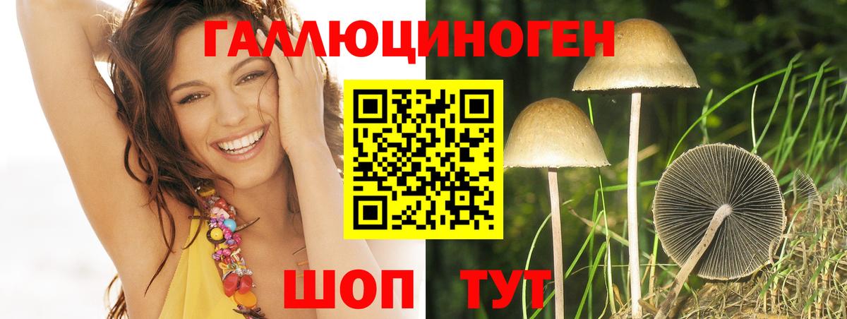 Псилоцибиновые грибы Magic Shrooms Коряжма